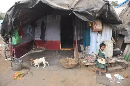 Dog with sex and girl in Hyderabad